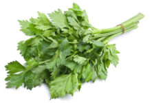 seleri