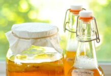 Ese koko kombucha ni icyo kunywa kivura indwara ? kombucha