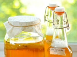 Ese koko kombucha ni icyo kunywa kivura indwara ? kombucha