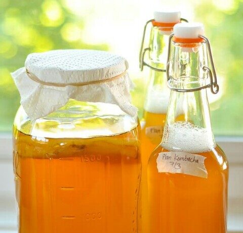 Ese koko kombucha ni icyo kunywa kivura indwara ? kombucha