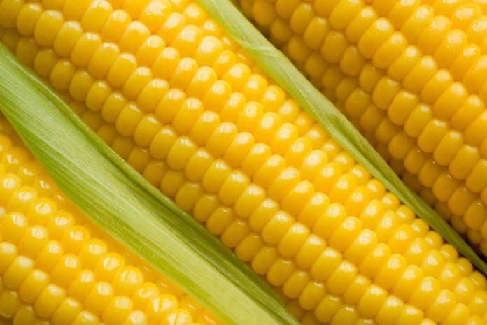 ibigori